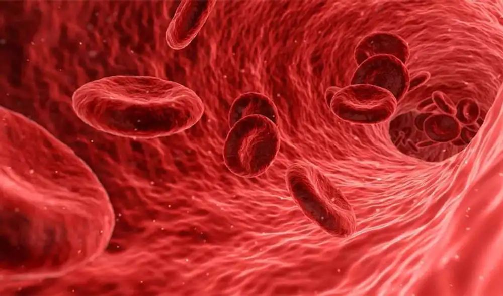 La hipoxia es la deficiencia de oxígeno en la sangre. La hipoxia es la deficiencia de oxígeno en la sangre.