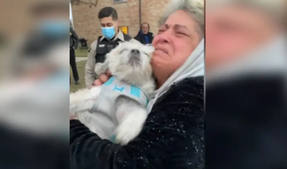 Desliza las imágenes para conocer más detalles sobre este emotivo reencuentro que emocionó a miles de usuarios. Foto: captura de YouTube