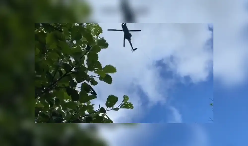 El animal quedó atrapado en un barranco y tuvo que llegar un helicóptero para sacarla del lugar. Foto: YouTube