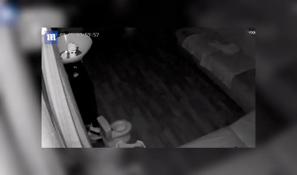 Video en Facebook grabado por cámara de seguridad revela el peor secreto de un pequeño perro. Video en Facebook grabado por cámara de seguridad revela el peor secreto de un pequeño perro.