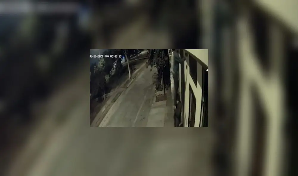 Ladrones ingresan a viviendas de la urbanización Palao para robar. Foto: Captura Panamericana Televisión.