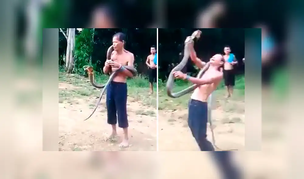 ‘Encantador de serpientes’ muere por la mordida de una cobra mientras presumía ‘poderes mágicos’ [VIDEO] 
