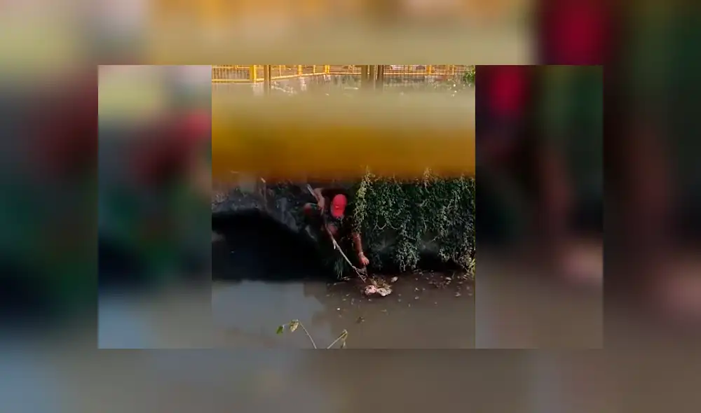 YouTube viral: Valiente hombre arriesga su vida para rescatar a perrito que iba a morir ahogado [VIDEO]