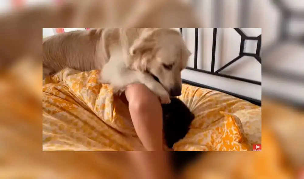 Desliza hacia la izquierda para ver las imágenes del viral de Facebook. Desliza hacia la izquierda para ver las imágenes del viral de Facebook.