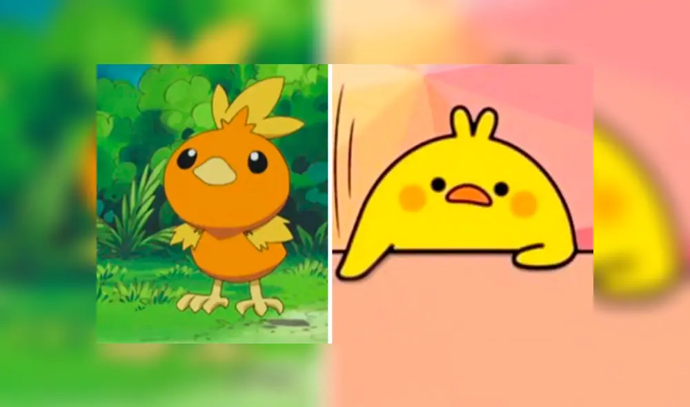 Pokémon GO: se burlan de Torchic por su parecido al meme “se tenía que decir y se dijo” [FOTO]