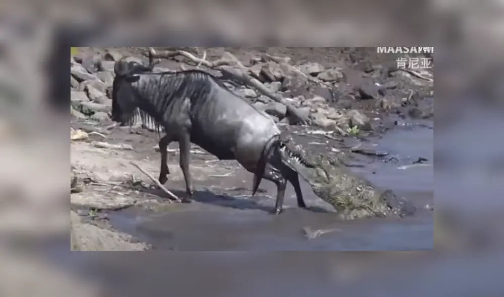 Desliza hacia la izquierda para ver las imágenes del viral de Facebook. Fotocaptura: CGTN Desliza hacia la izquierda para ver las imágenes del viral de Facebook. Fotocaptura: CGTN