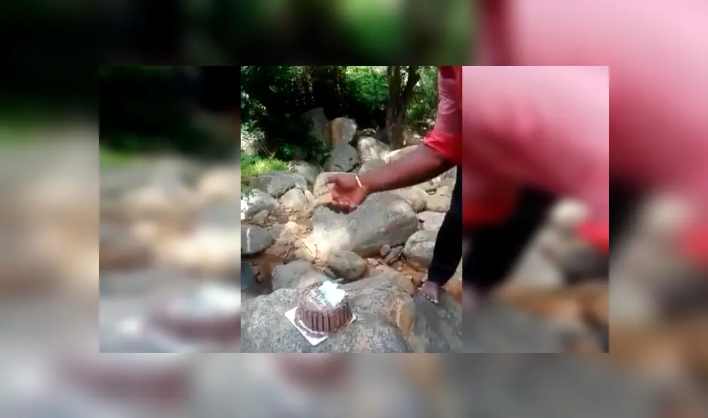 Familiares del joven lo sorprendieron con una torta de cumpleaños, sin imaginar que un travieso mono arruinaría el emotivo momento. El video es viral en Facebook Familiares del joven lo sorprendieron con una torta de cumpleaños, sin imaginar que un travieso mono arruinaría el emotivo momento. El video es viral en Facebook