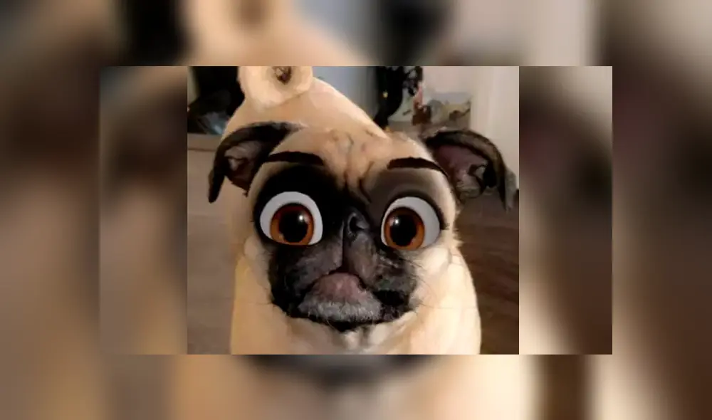 Convierte tu perro en un personaje de Disney gracias a Snapchat. Foto: Ladbible.
