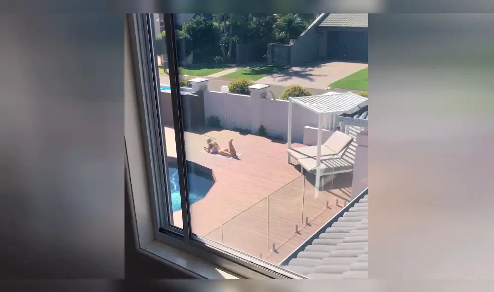 Facebook Viral: Su novia tomaba sol y extraño hace algo inesperado [VIDEO]