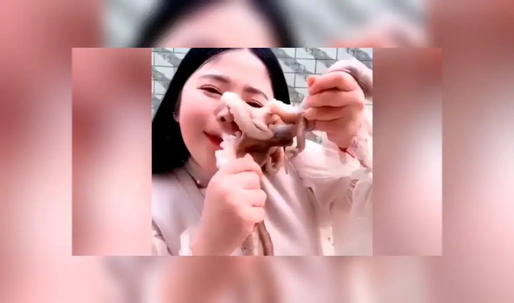 YouTube viral: chica pretendió comer un pulpo vivo y este la ataca de la peor forma [VIDEO]