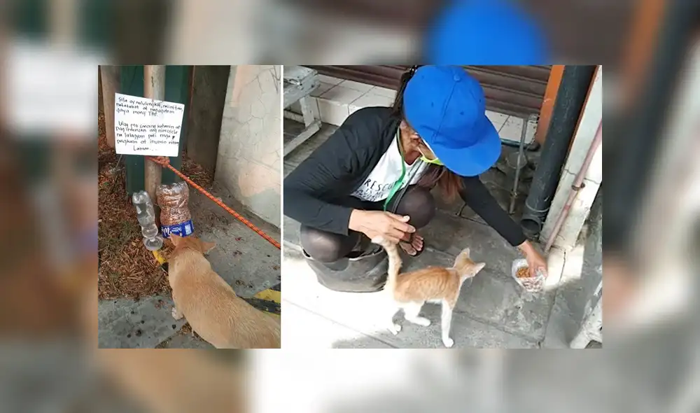 Desliza para ver los detalles del video viral publicado en YouTube. Foto: Captura.