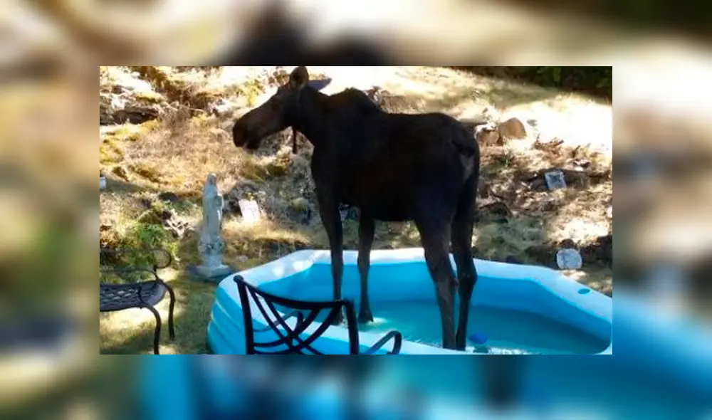 Desliza la imagen de Facebook para ver todas las fotos. Desliza la imagen de Facebook para ver todas las fotos.