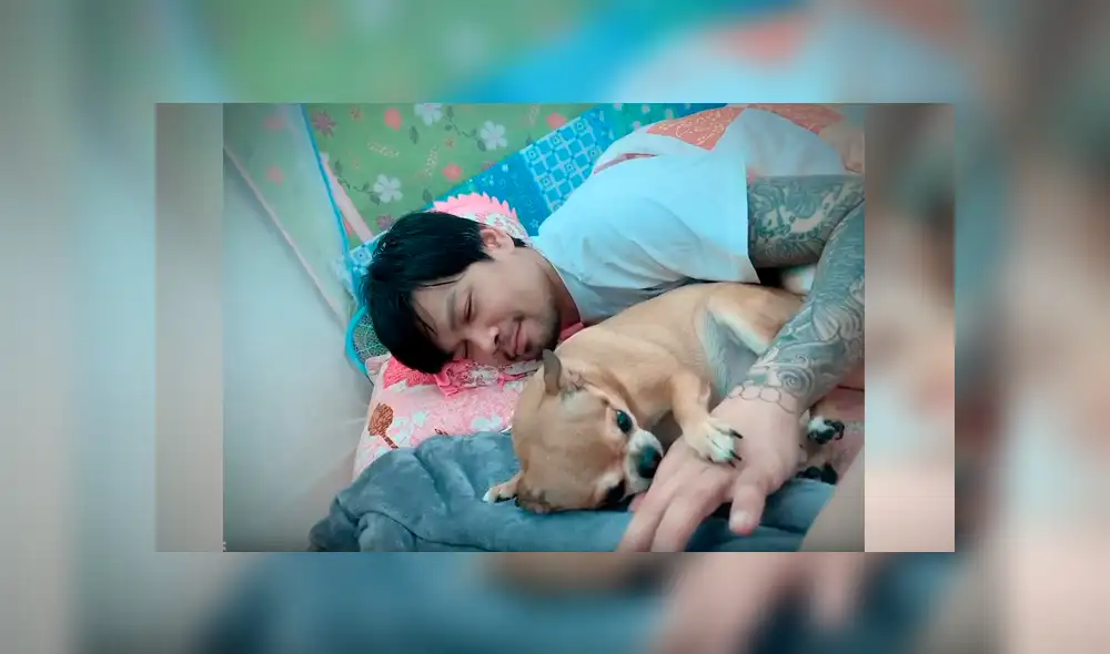 Video es viral en YouTube. Mujer grabó el agresivo comportamiento del perro cada vez que su esposo intentaba tocarla mientras dormía con los dos Video es viral en YouTube. Mujer grabó el agresivo comportamiento del perro cada vez que su esposo intentaba tocarla mientras dormía con los dos