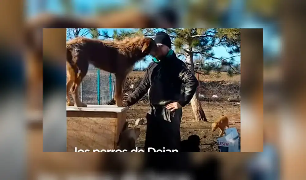 Desliza hacia la izquierda para ver el video viral de YouTube que muestra a los 600 perros junto a su dueño. Desliza hacia la izquierda para ver el video viral de YouTube que muestra a los 600 perros junto a su dueño.