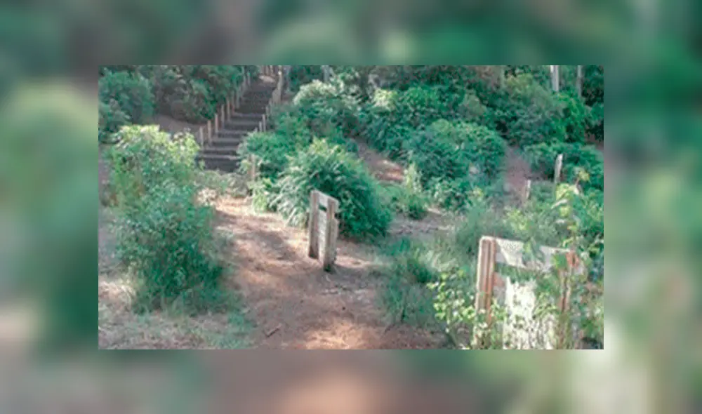 Google Maps: cámaras captan peligrosa escena tras ingresar a zona de guerra en Estados Unidos [FOTOS]