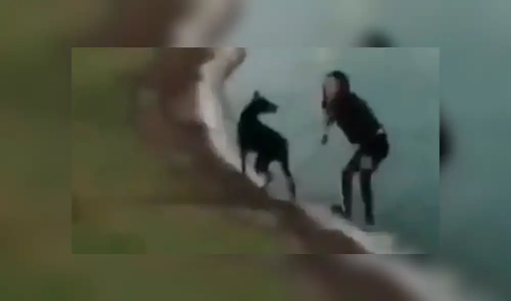 Facebook viral: joven sufre una terrible caída por cuidar a su perro [VIDEO]