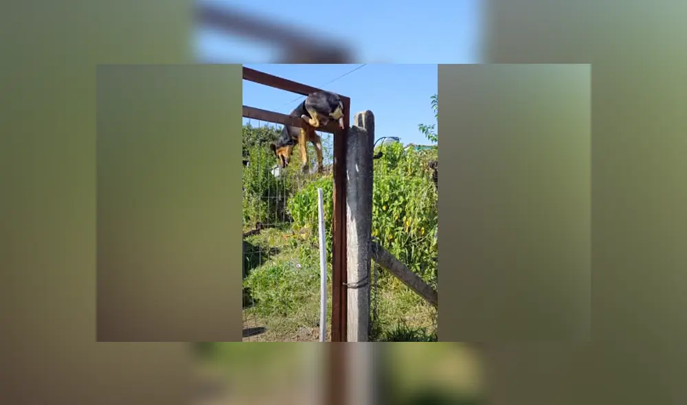 Desliza hacia la izquierda para ver las imágenes del viral de YouTube. Foto: Captura. Desliza hacia la izquierda para ver las imágenes del viral de YouTube. Foto: Captura.