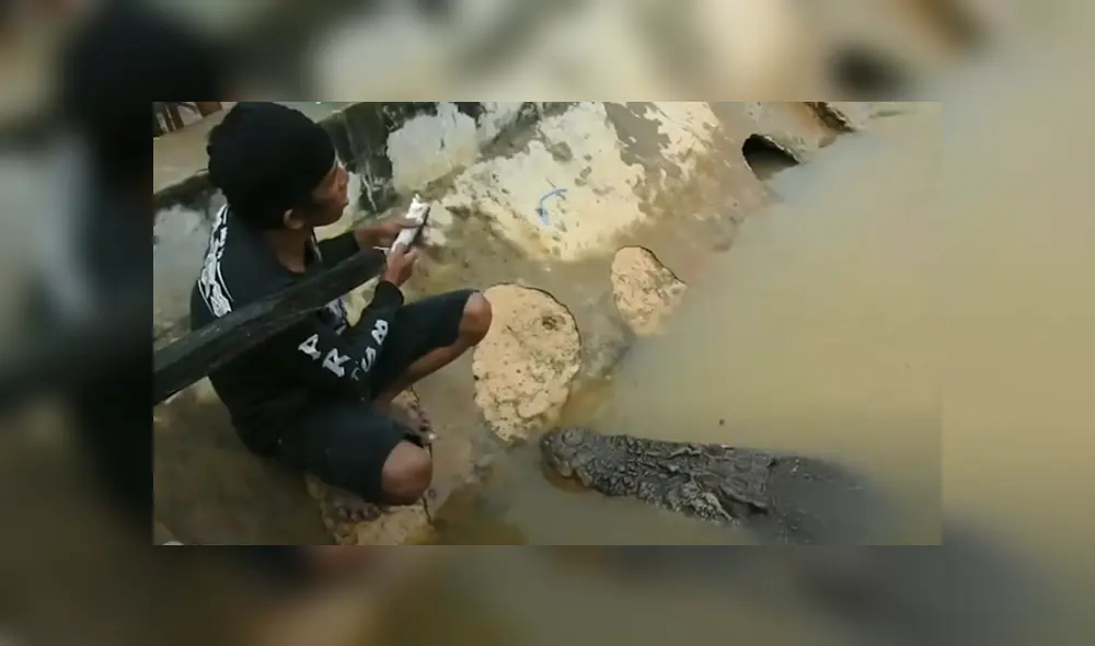 Desliza hacia la izquierda para ver el encuentro de un hombre con un cocodrilo. Viral en Facebook. Foto: ViralPress