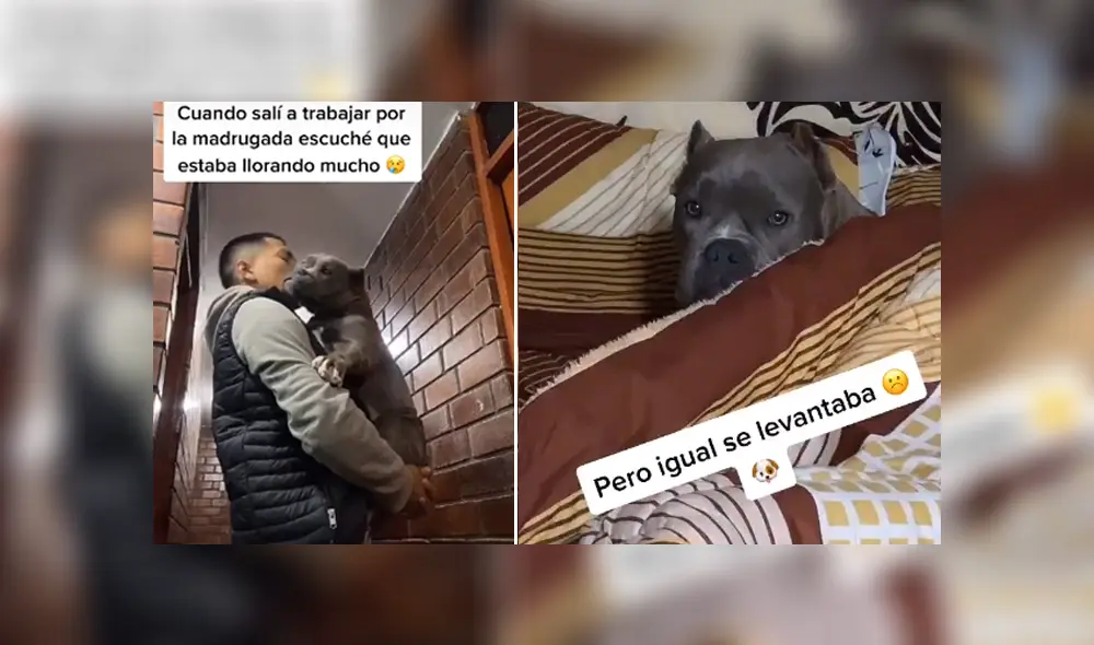 Desliza hacia la izquierda para ver las imágenes del viral de Facebook. Foto: Captura. Desliza hacia la izquierda para ver las imágenes del viral de Facebook. Foto: Captura.