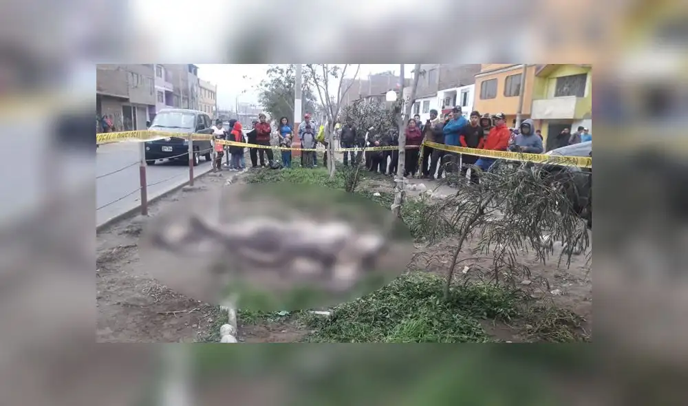 Testigos contaron que el crimen se produjo luego de pelea verbal entre víctima y su amigo. (Foto: Difusión)