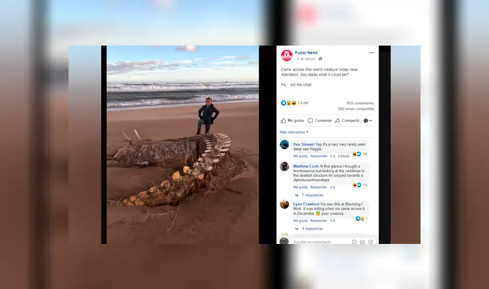 Un insólito hallazgo que se volvió viral en Facebook ha dejado impactados a miles. Un insólito hallazgo que se volvió viral en Facebook ha dejado impactados a miles.