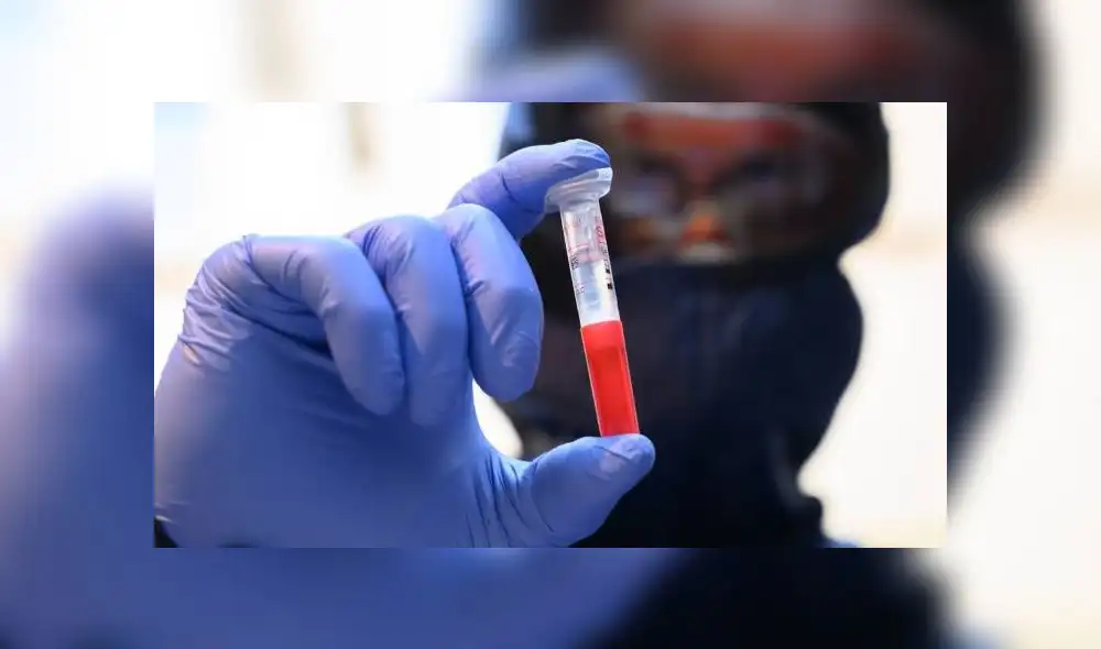 coronavirus covid-19 muestra sangre medico coronavirus covid-19 muestra sangre medico