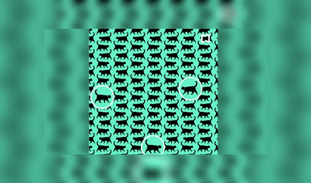 Desliza las imágenes para ver la respuesta de este complejo reto visual de Facebook. Foto: Televisa Desliza las imágenes para ver la respuesta de este complejo reto visual de Facebook. Foto: Televisa