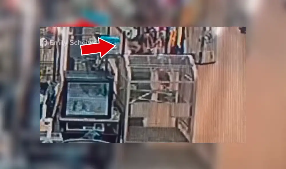 YouTube viral: un hombre ocultó en el lugar menos indicado a una serpiente que había robado  [VIDEO] 