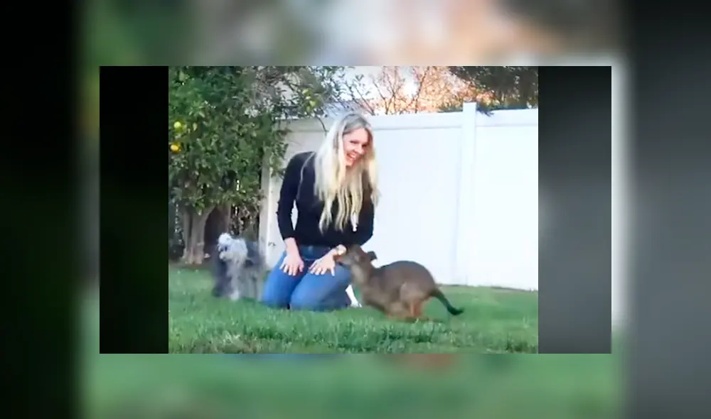 Desliza hacia la izquierda para ver el conmovedor rescate. Imágenes del video viral de YouTube. Desliza hacia la izquierda para ver el conmovedor rescate. Imágenes del video viral de YouTube.