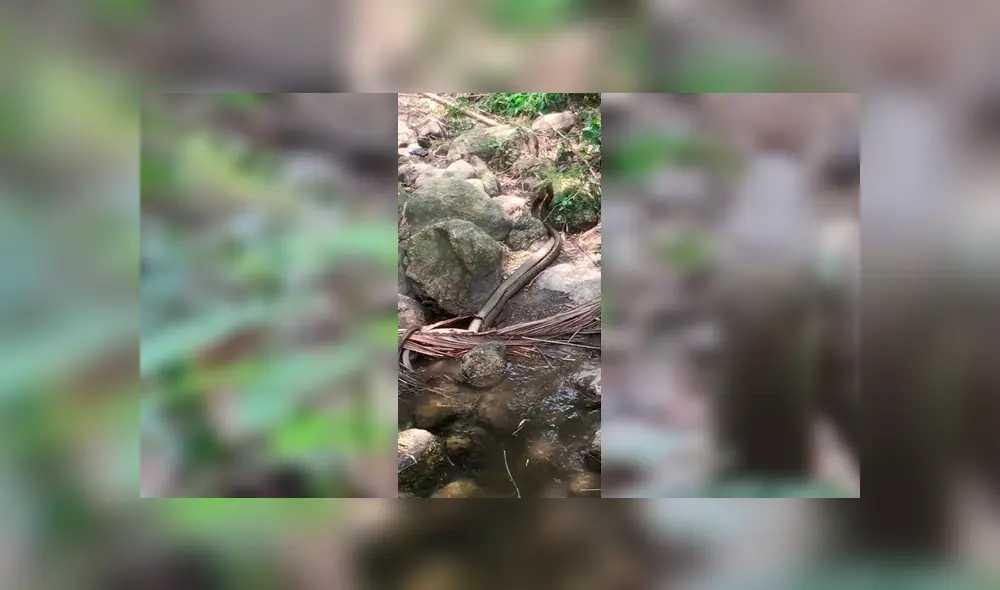 Desliza para ver los detalles del video viral publicado en YouTube. Foto: Captura. Desliza para ver los detalles del video viral publicado en YouTube. Foto: Captura.