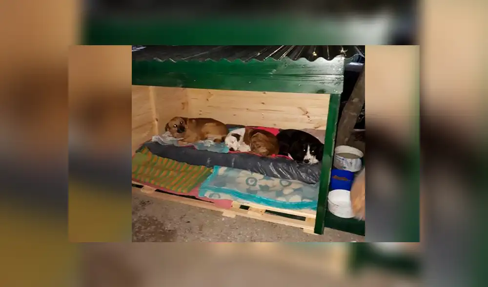 Desliza la imagen para ver la obra que realizaron las mujeres. Fotos: captura/Facebook