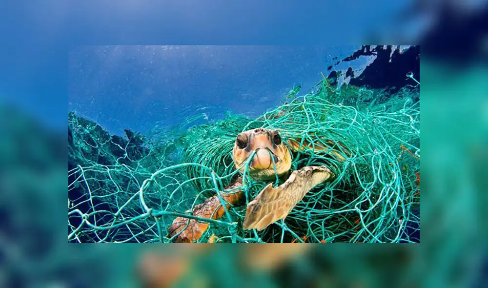 Decisión histórica: Europa erradicará plásticos de un solo uso y otros desechables 
