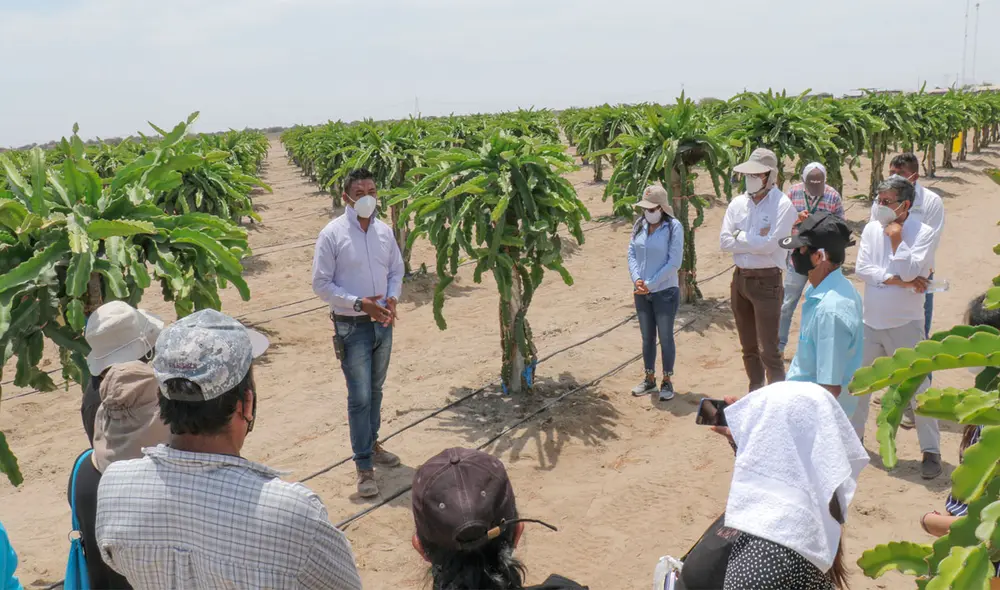 Agricultores del Valle Viejo de Olmos afectados por el recorte de agua. Foto: Archivo Peot