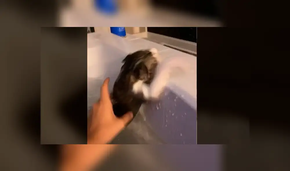 Desliza para ver la secuencia de imágenes de TikTok. Foto: hails_yeah__ Desliza para ver la secuencia de imágenes de TikTok. Foto: hails_yeah__