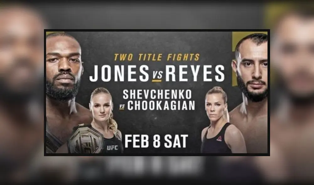 UFC 247