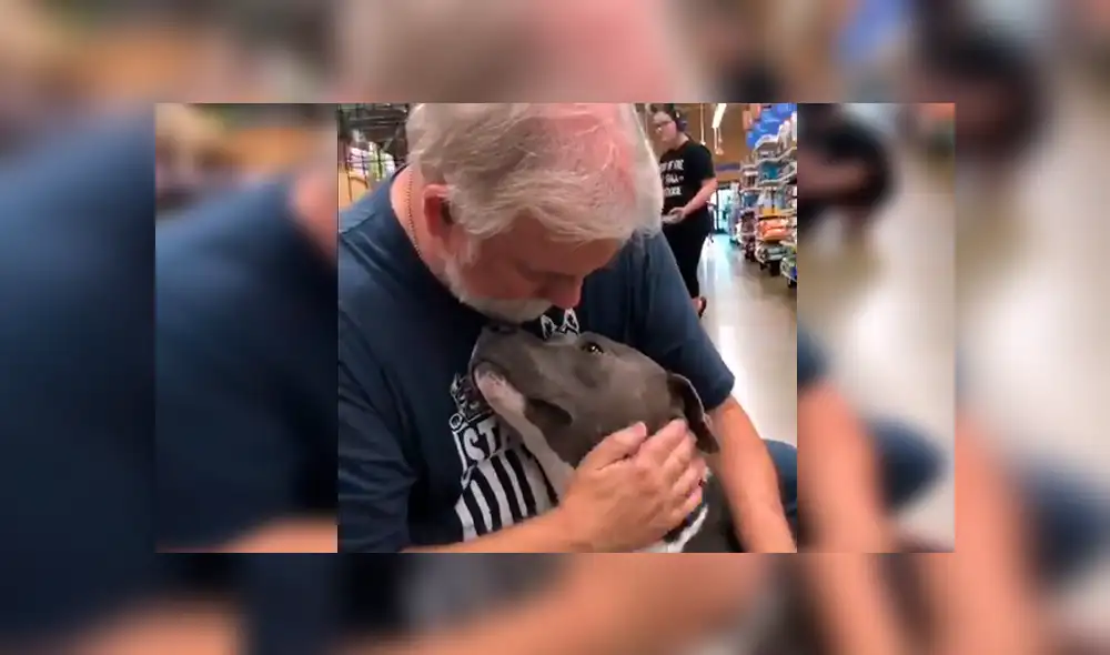 En Facebook, un señor acudió a un albergue de animales para adoptar a un perro y no imaginó la reacción que tendría.