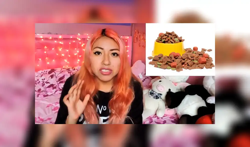 YouTube viral: ¿Qué debe tener la mochila de emergencia para mascotas? [VIDEO]