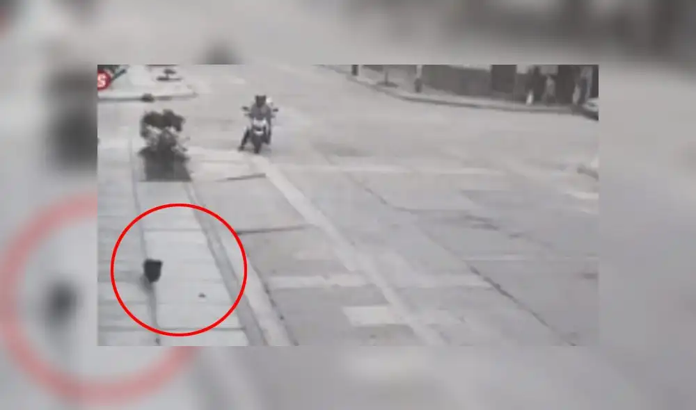 Familia presume de motorizado porque fue en la misma dirección que la mascota. (Foto: Captura de video / Latina Noticias)