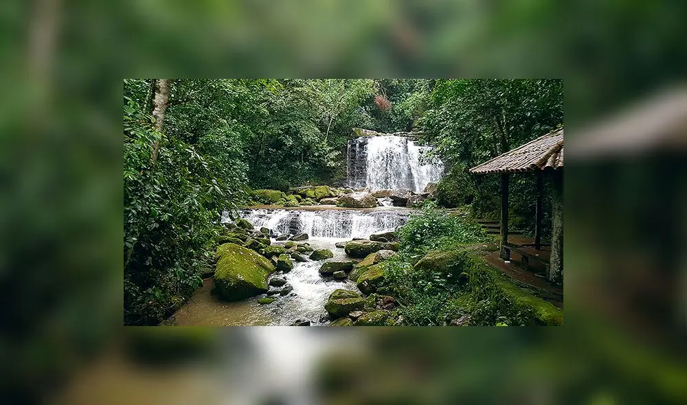 Un recorrido por el majestuoso y sorprendente Alto Mayo
