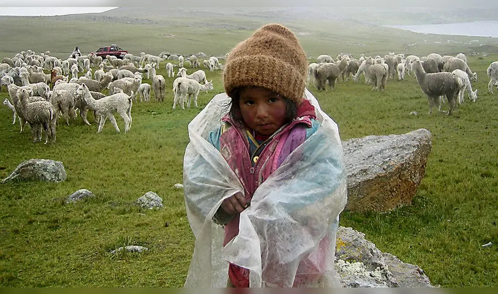 Neumonía mató a seis infantes menores de cinco años en la región Puno