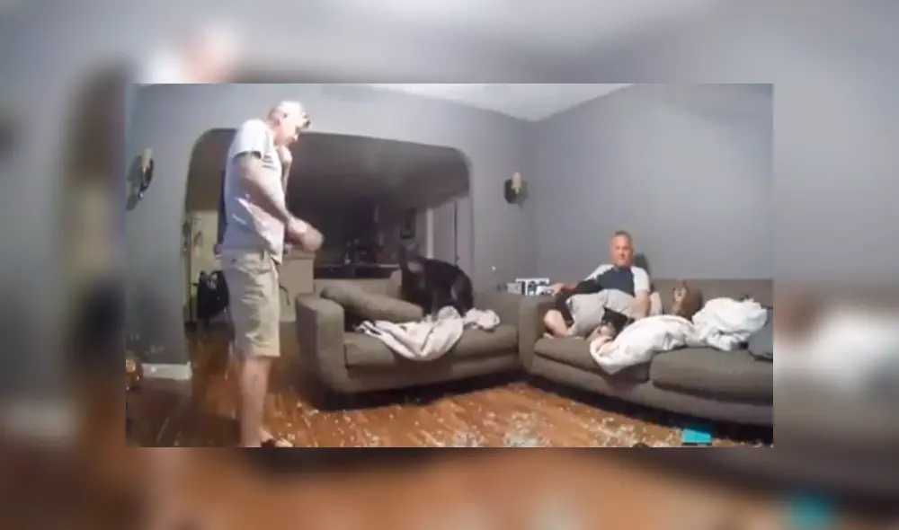 Desliza las imágenes hacia la izquierda para apreciar el terrible accidente que protagonizó un perro. Desliza las imágenes hacia la izquierda para apreciar el terrible accidente que protagonizó un perro.