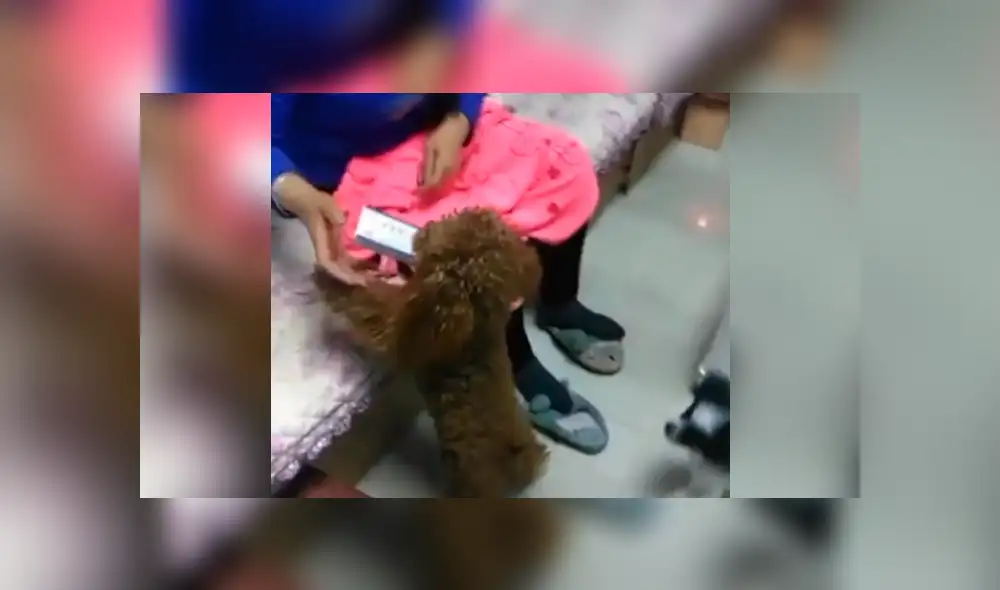 Facebook: mujer estaba enferma y su perro se hace cargo de ella como todo un doctor [VIDEO]