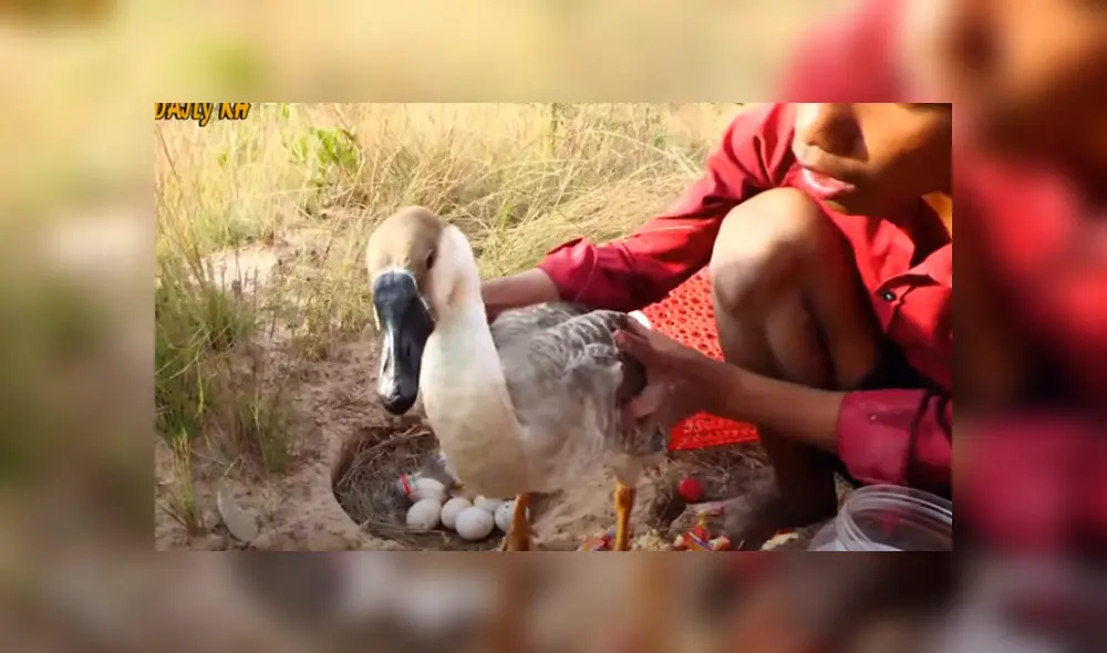 Desliza hacia la izquierda para ver las imágenes del viral de YouTube.