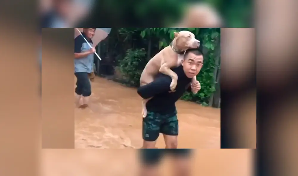 Desliza la imagen de YouTube para verlas todas. Foto: Viral Press Desliza la imagen de YouTube para verlas todas. Foto: Viral Press