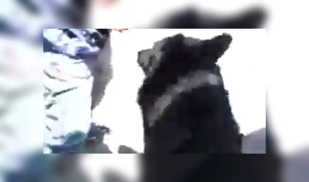 Facebook viral: niños sorprenden al pedirle a hombre permiso para que su perro pueda salir a jugar  [VIDEO]