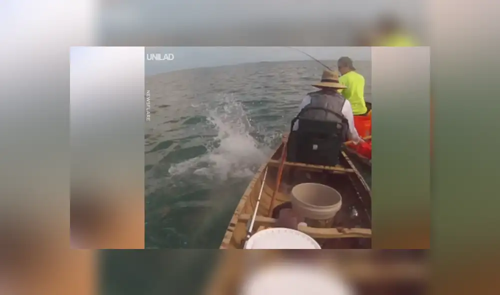 Letal tiburón intenta atacar a pescadores y ocurre lo menos pensado [VIDEO] 