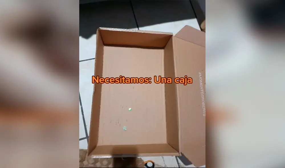 Desliza las imágenes para conocer la ingeniosa idea que tuvo una joven al fabricar un rascador para su gato. Foto: captura de TikTok