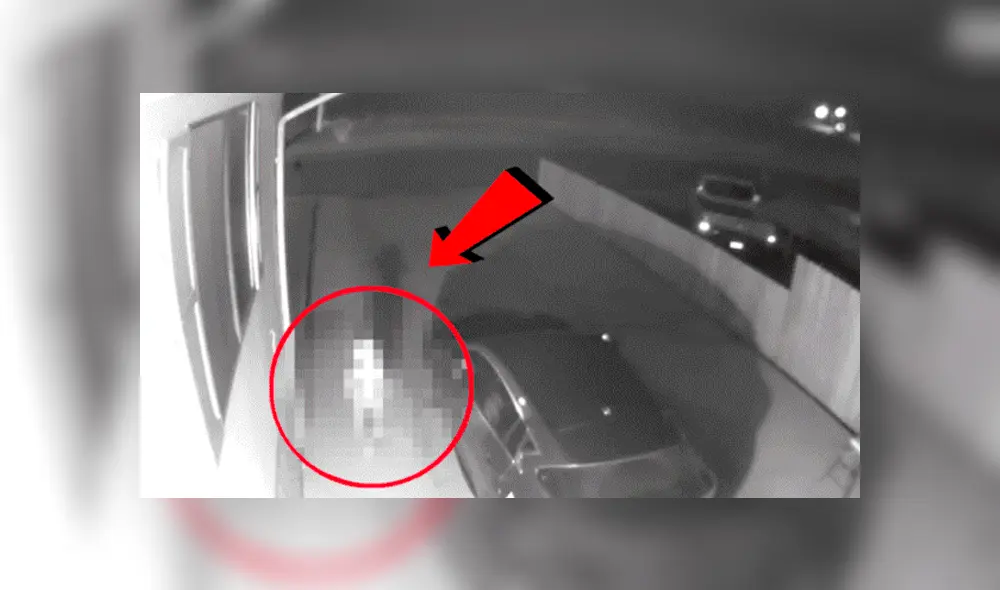 Facebook viral: Terrorífica criatura genera pánico tras ser captada por cámara de seguridad [VIDEO]