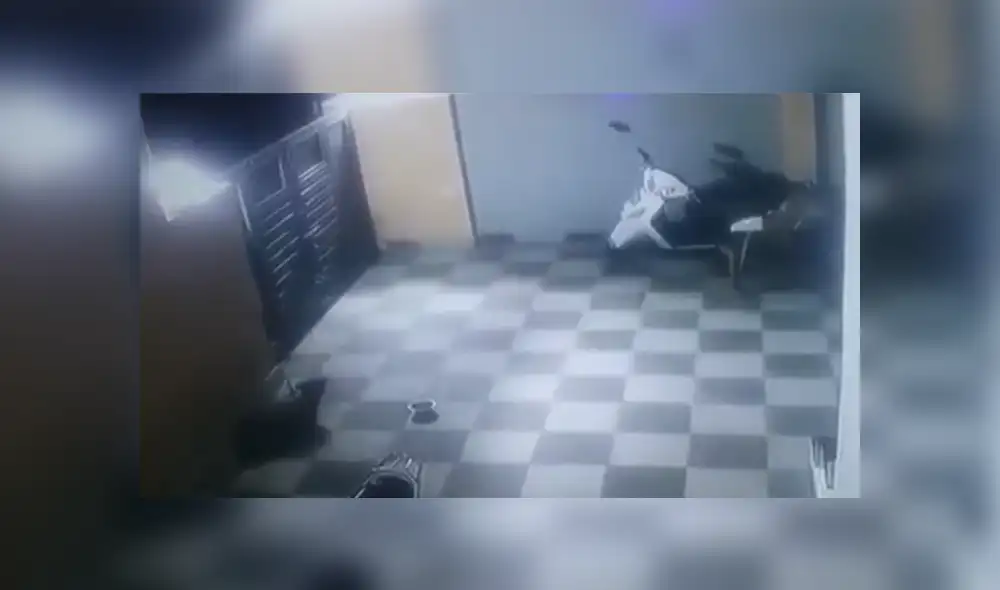 A través de YouTube se hizo viral el momento en que un furioso leopardo ataca ferozmente a un perro. A través de YouTube se hizo viral el momento en que un furioso leopardo ataca ferozmente a un perro.