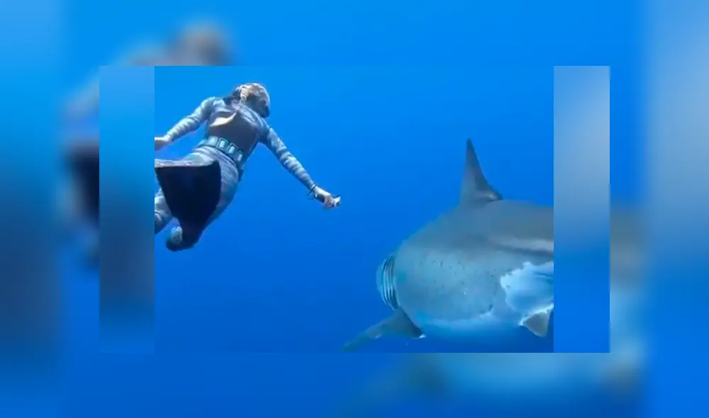 Desliza hacia la izquierda para ver el momento en que un tiburón nada al lado de un buzo en Estados Unidos. El video es viral en Facebook.